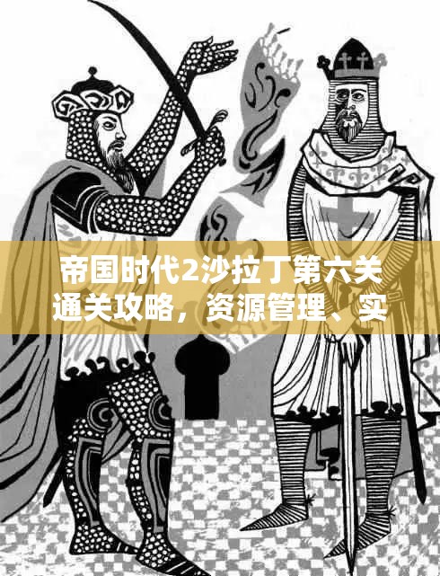 帝国时代2沙拉丁第六关通关攻略，资源管理、实战技巧与战略部署