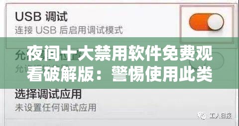 夜间十大禁用软件免费观看破解版：警惕使用此类软件的风险与危害