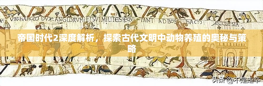 帝国时代2深度解析，探索古代文明中动物养殖的奥秘与策略