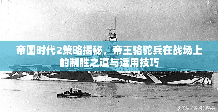 帝国时代2策略揭秘，帝王骆驼兵在战场上的制胜之道与运用技巧