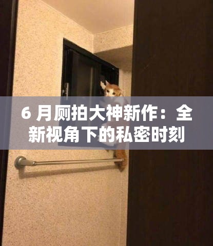 6 月厕拍大神新作：全新视角下的私密时刻