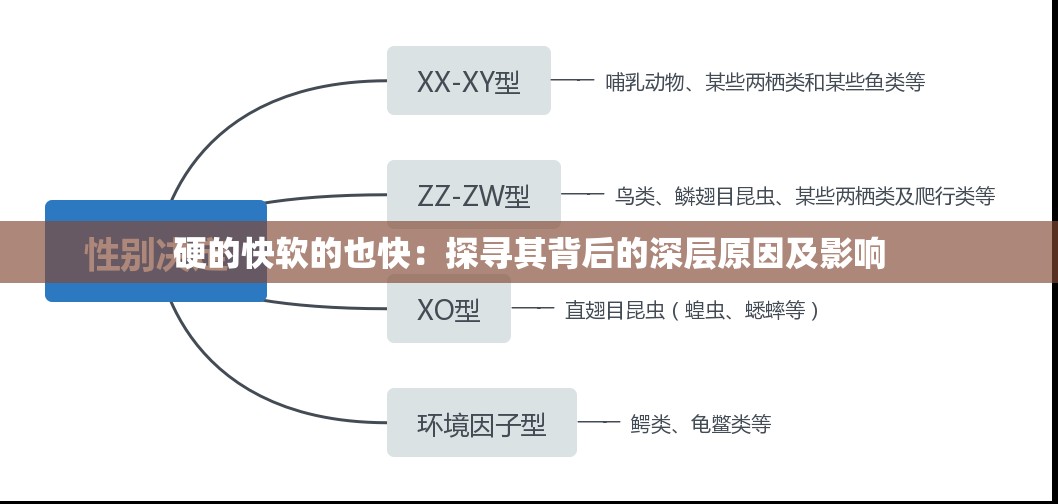 硬的快软的也快：探寻其背后的深层原因及影响
