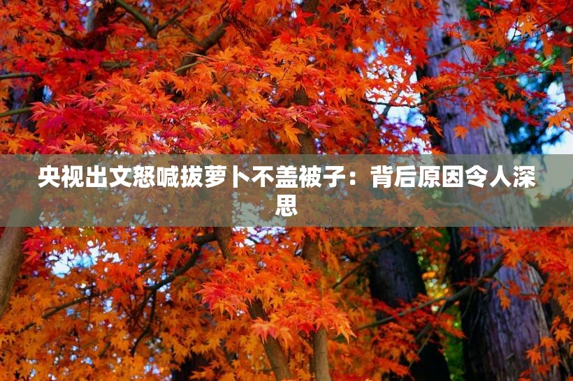 央视出文怒喊拔萝卜不盖被子：背后原因令人深思