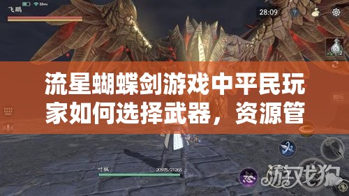 流星蝴蝶剑游戏中平民玩家如何选择武器，资源管理的重要性及实战策略解析