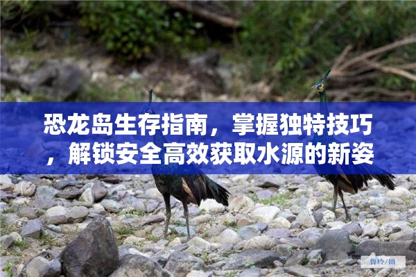 恐龙岛生存指南，掌握独特技巧，解锁安全高效获取水源的新姿势