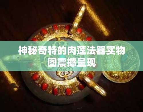 神秘奇特的肉莲法器实物图震撼呈现