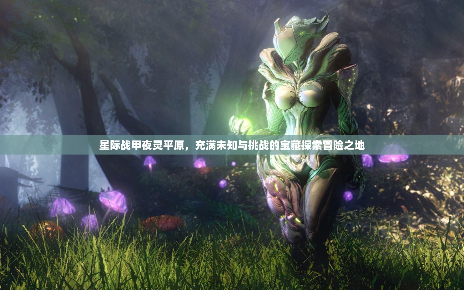 星际战甲夜灵平原，充满未知与挑战的宝藏探索冒险之地