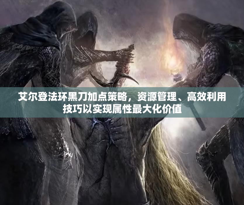 艾尔登法环黑刀加点策略，资源管理、高效利用技巧以实现属性最大化价值