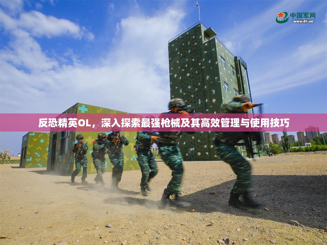 反恐精英OL，深入探索最强枪械及其高效管理与使用技巧