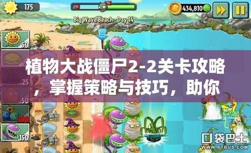植物大战僵尸2-2关卡攻略，掌握策略与技巧，助你快速且轻松通关