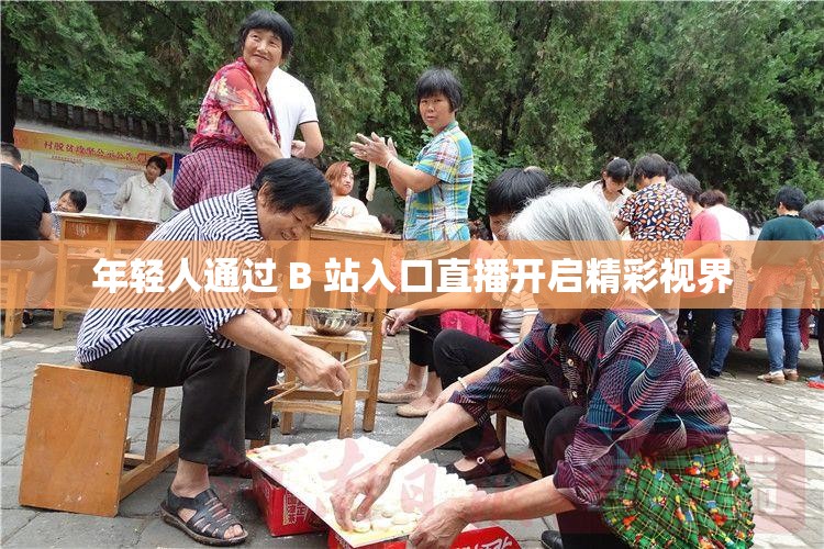 年轻人通过 B 站入口直播开启精彩视界