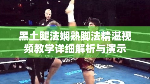 黑土腿法娴熟脚法精湛视频教学详细解析与演示