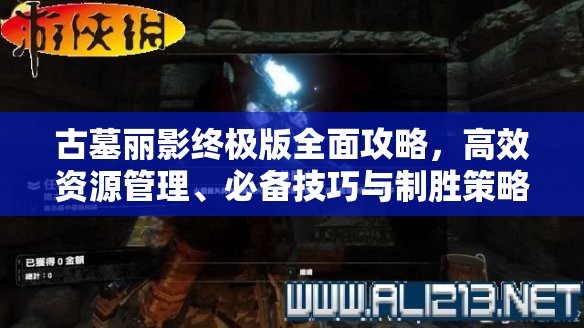 古墓丽影终极版全面攻略，高效资源管理、必备技巧与制胜策略详解