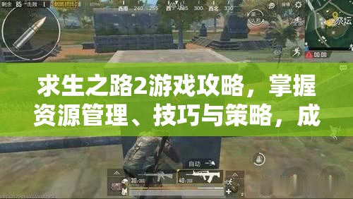 求生之路2游戏攻略，掌握资源管理、技巧与策略，成功走出困境