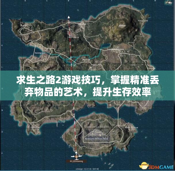 求生之路2游戏技巧，掌握精准丢弃物品的艺术，提升生存效率