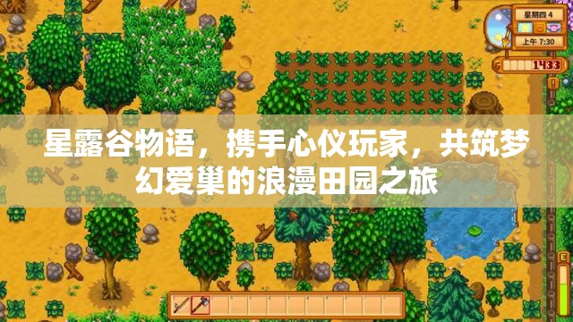 星露谷物语，携手心仪玩家，共筑梦幻爱巢的浪漫田园之旅