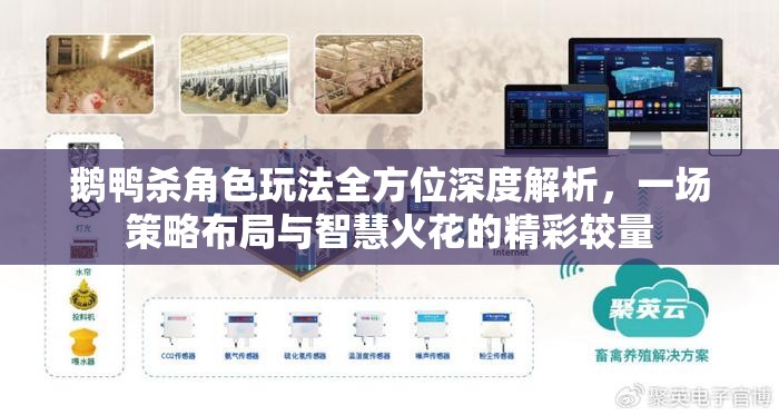 鹅鸭杀角色玩法全方位深度解析，一场策略布局与智慧火花的精彩较量