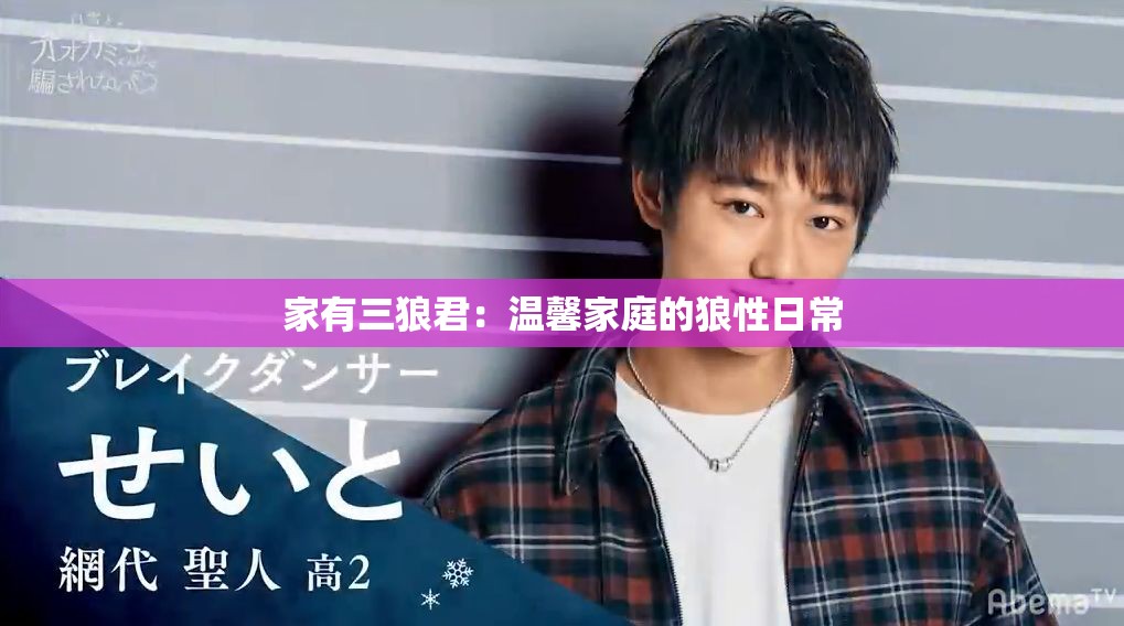 家有三狼君：温馨家庭的狼性日常