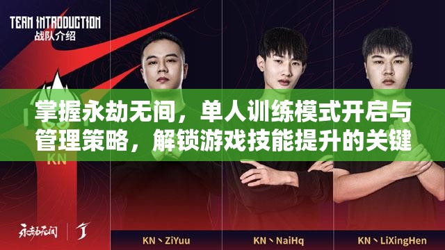掌握永劫无间，单人训练模式开启与管理策略，解锁游戏技能提升的关键路径