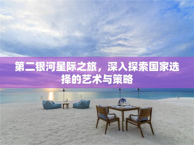 第二银河星际之旅，深入探索国家选择的艺术与策略