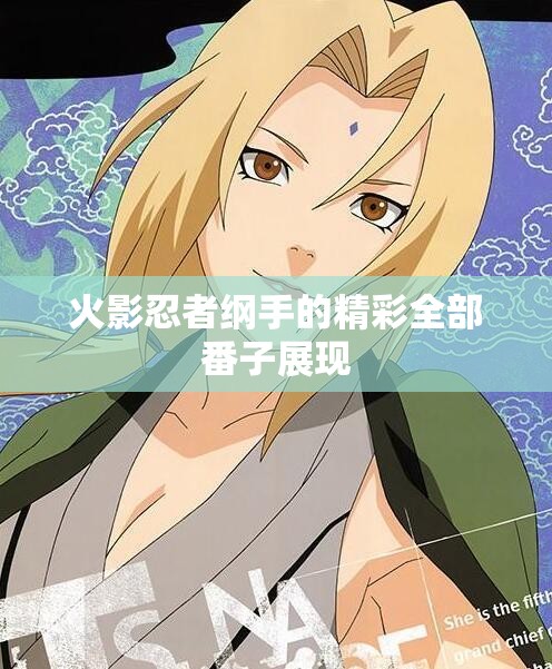 火影忍者纲手的精彩全部番子展现
