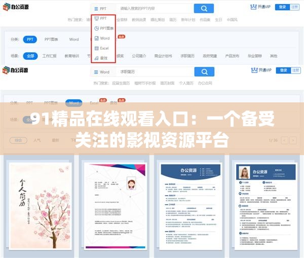 91精品在线观看入口：一个备受关注的影视资源平台