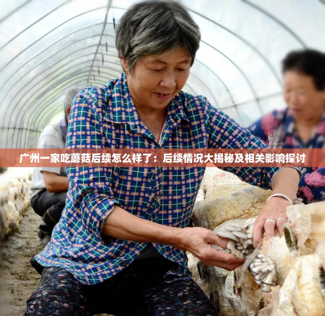 广州一家吃蘑菇后续怎么样了：后续情况大揭秘及相关影响探讨