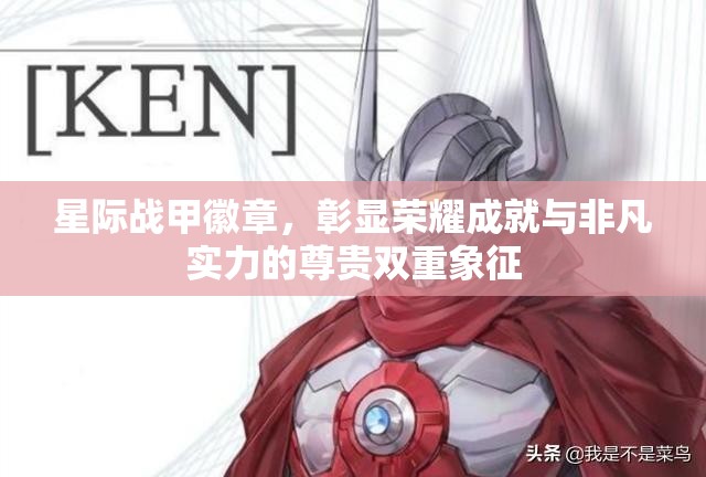 星际战甲徽章，彰显荣耀成就与非凡实力的尊贵双重象征