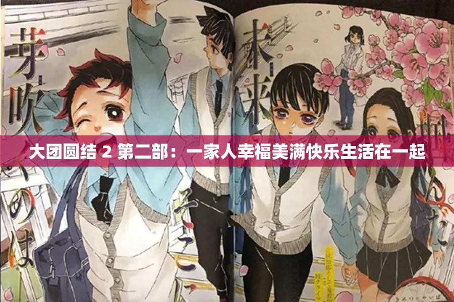 大团圆结 2 第二部：一家人幸福美满快乐生活在一起