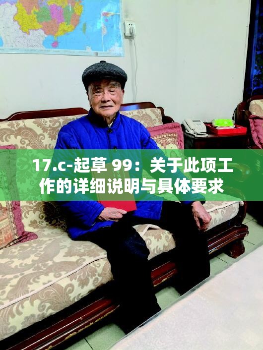 17.c-起草 99：关于此项工作的详细说明与具体要求