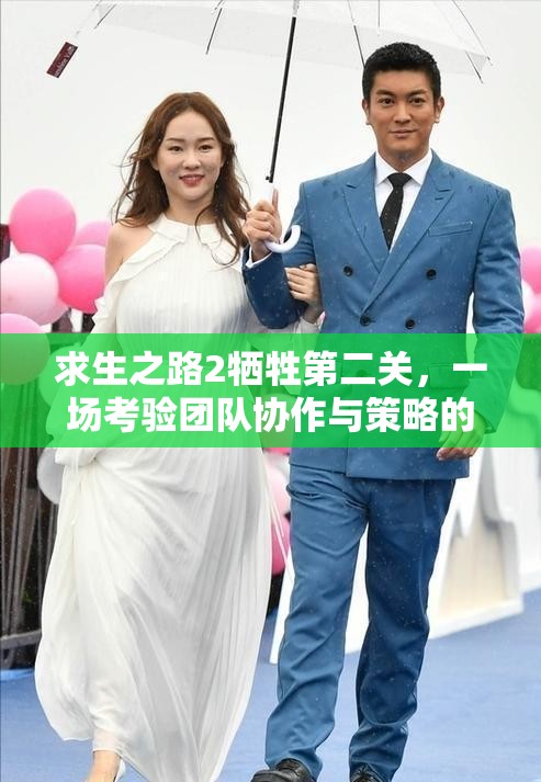 求生之路2牺牲第二关，一场考验团队协作与策略的惊险冒险之旅