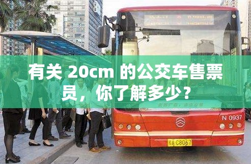 有关 20cm 的公交车售票员，你了解多少？