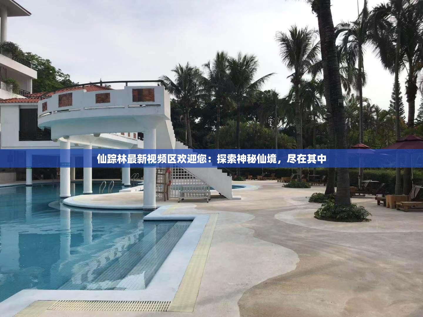 仙踪林最新视频区欢迎您：探索神秘仙境，尽在其中