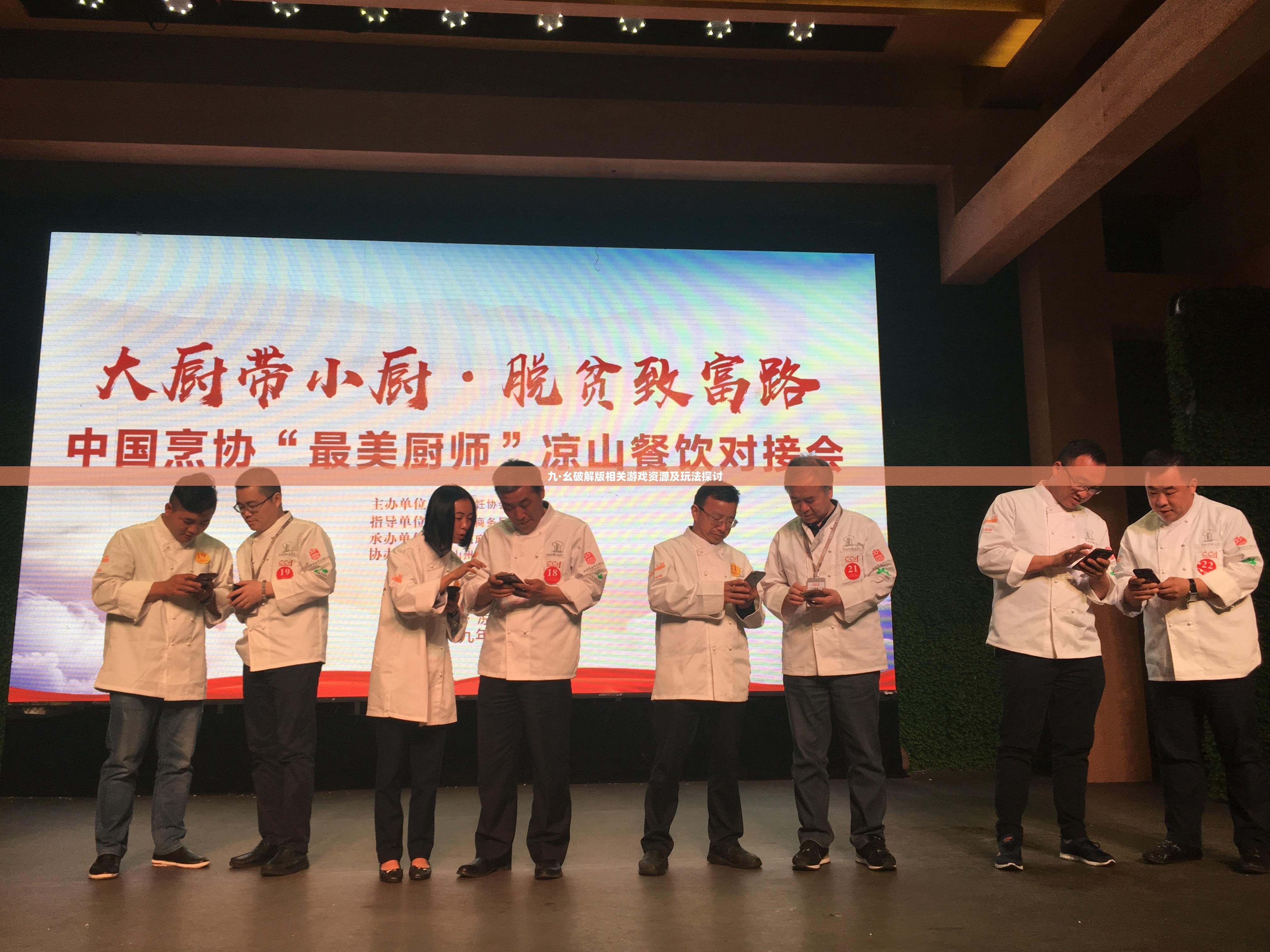 九·幺破解版相关游戏资源及玩法探讨