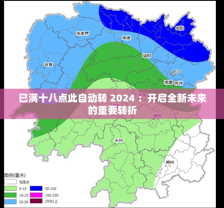 已满十八点此自动转 2024 ：开启全新未来的重要转折
