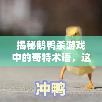 揭秘鹅鸭杀游戏中的奇特术语，这些变态黑话你真的了解吗？