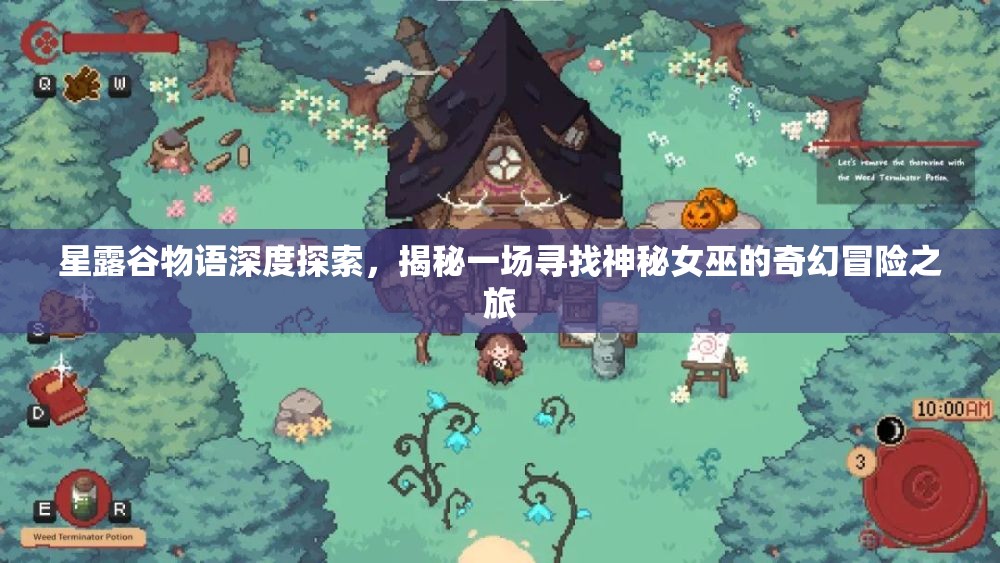 星露谷物语深度探索，揭秘一场寻找神秘女巫的奇幻冒险之旅