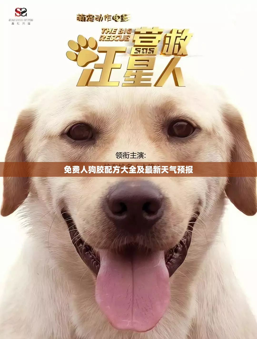 免费人狗胶配方大全及最新天气预报