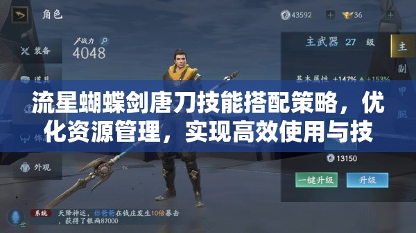 流星蝴蝶剑唐刀技能搭配策略，优化资源管理，实现高效使用与技能价值最大化