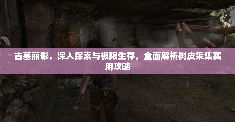 古墓丽影，深入探索与极限生存，全面解析树皮采集实用攻略