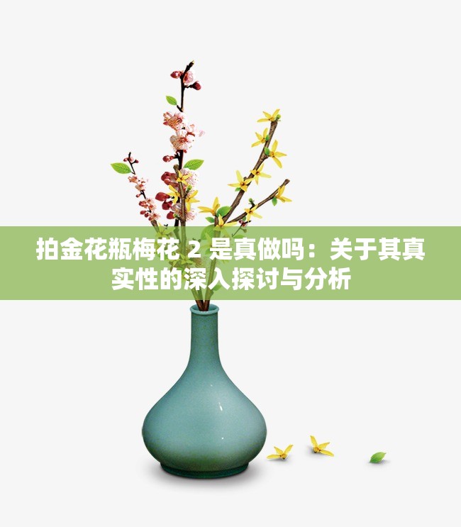 拍金花瓶梅花 2 是真做吗：关于其真实性的深入探讨与分析