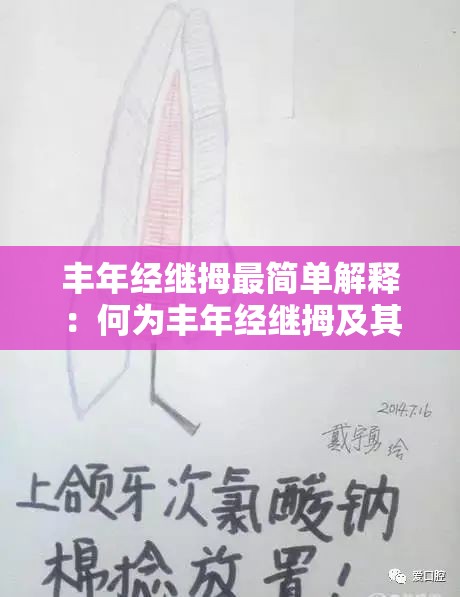 丰年经继拇最简单解释：何为丰年经继拇及其本质含义