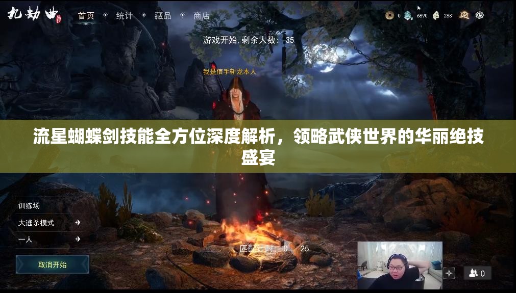 流星蝴蝶剑技能全方位深度解析，领略武侠世界的华丽绝技盛宴