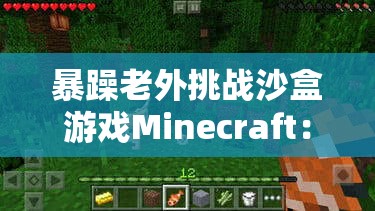暴躁老外挑战沙盒游戏Minecraft：探索未知世界