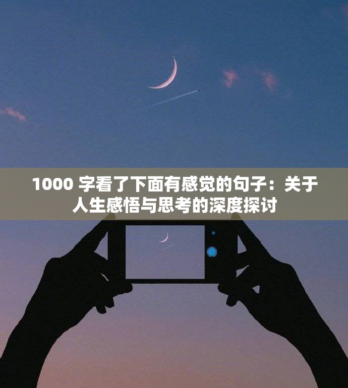1000 字看了下面有感觉的句子：关于人生感悟与思考的深度探讨