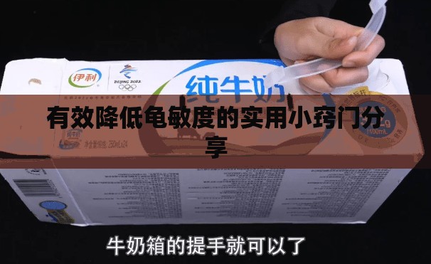 有效降低龟敏度的实用小窍门分享