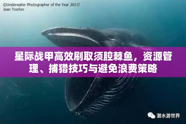 星际战甲高效刷取须腔棘鱼，资源管理、捕猎技巧与避免浪费策略