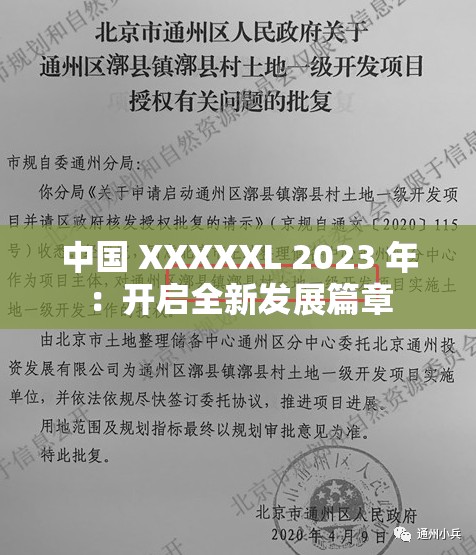 中国 XXXXXL 2023 年：开启全新发展篇章