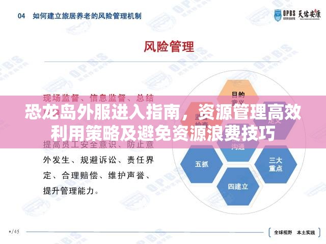 恐龙岛外服进入指南，资源管理高效利用策略及避免资源浪费技巧