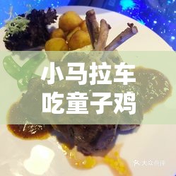 小马拉车吃童子鸡网：独特现象引发的思考